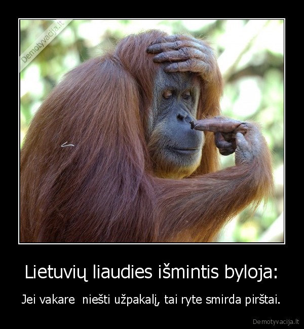 smirda