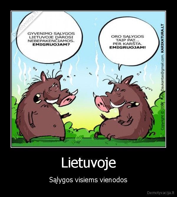 Lietuvoje
