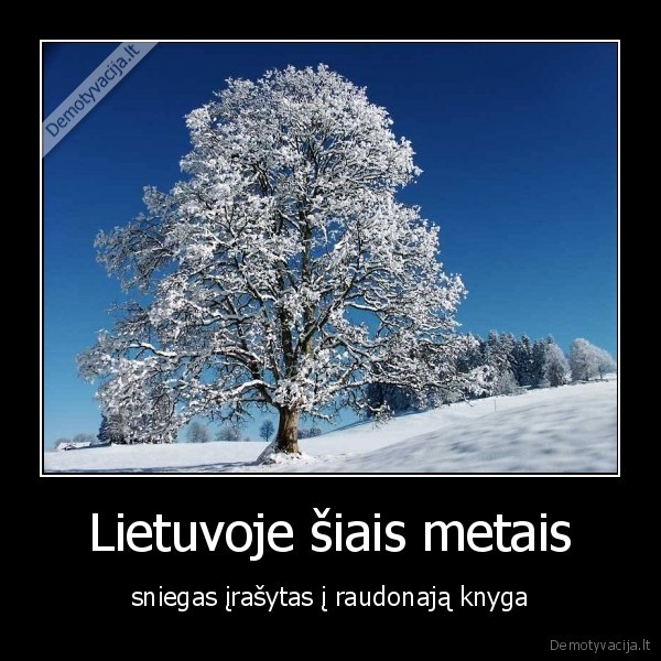 Lietuvoje šiais metais