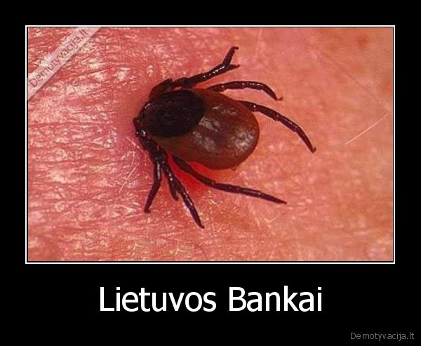 Lietuvos Bankai