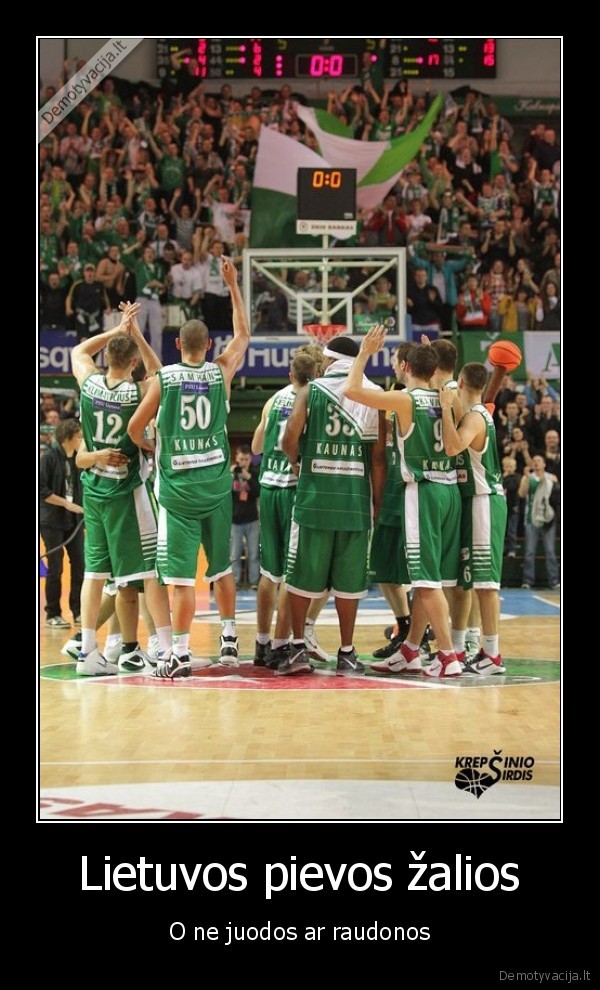 zalgiris,lkl,finalas,rytas,malkose, ikrite