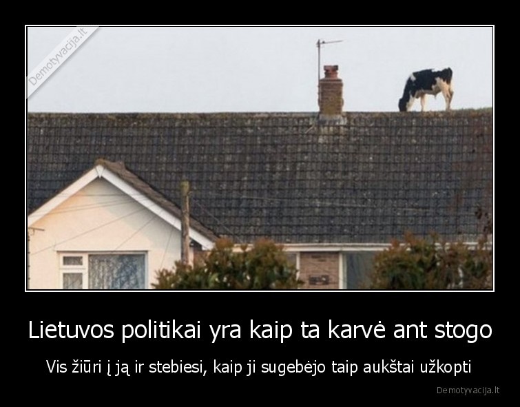 karve,politika,lietuva