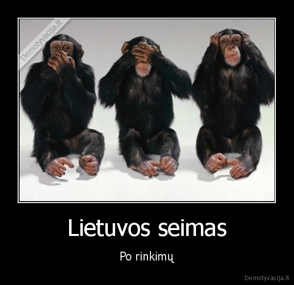 seimas