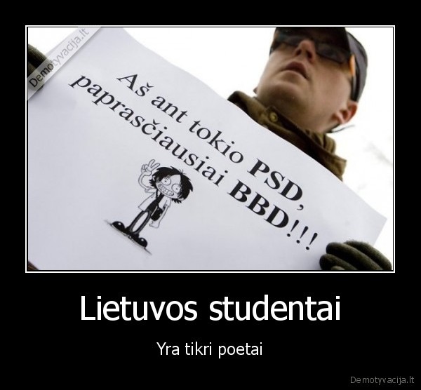 ko, ziuri, eik, kast, sniego