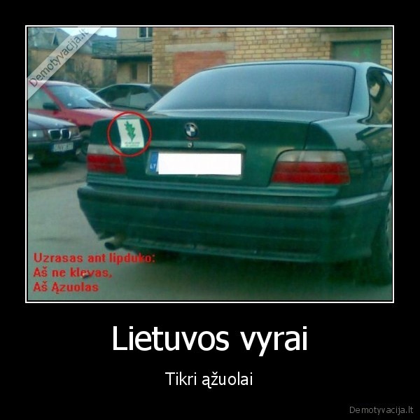 Lietuvos vyrai