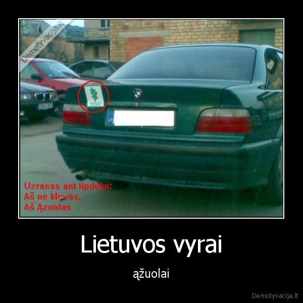 Lietuvos vyrai