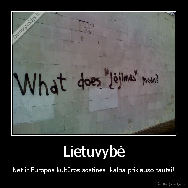 lietuvybe,kultura,nacionaline, dailes, galerija