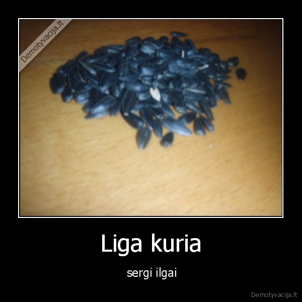 Liga kuria