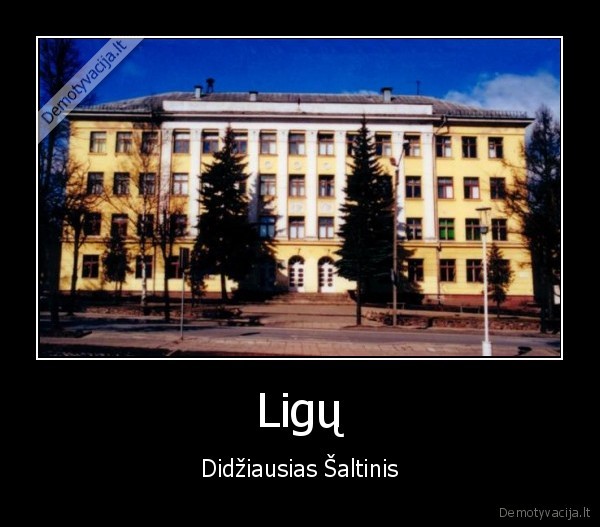 Ligų
