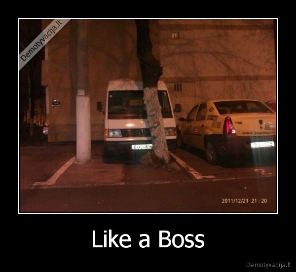 Like a Boss