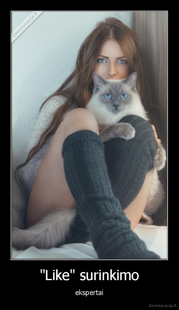 mergina,katinas