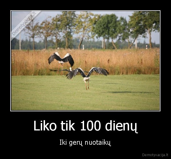 vasara,iki, vasaros, liko, 100,einam, balevot