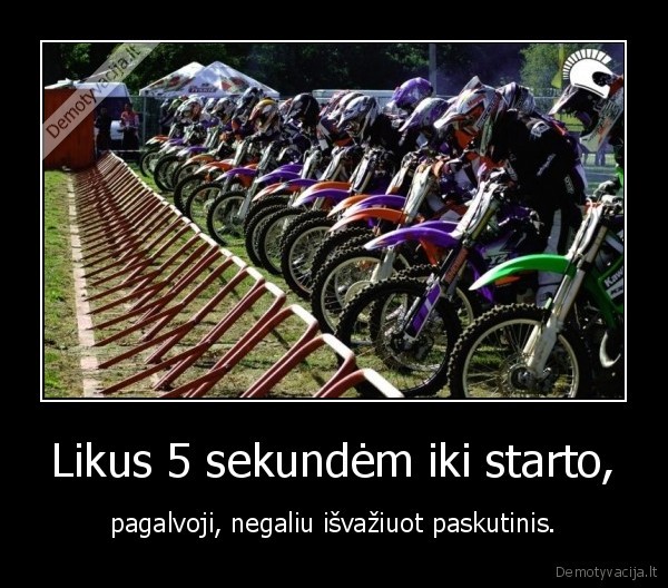 sportas