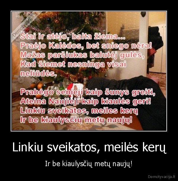 naujieji, metai,sveikinti