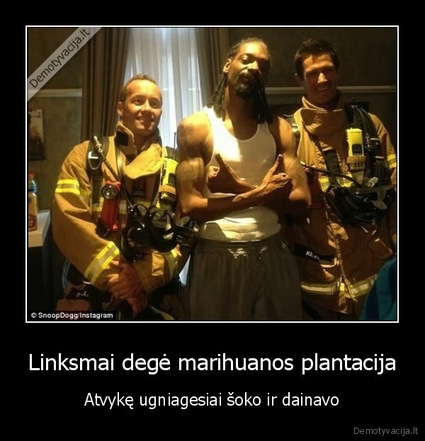 Linksmai degė marihuanos plantacija