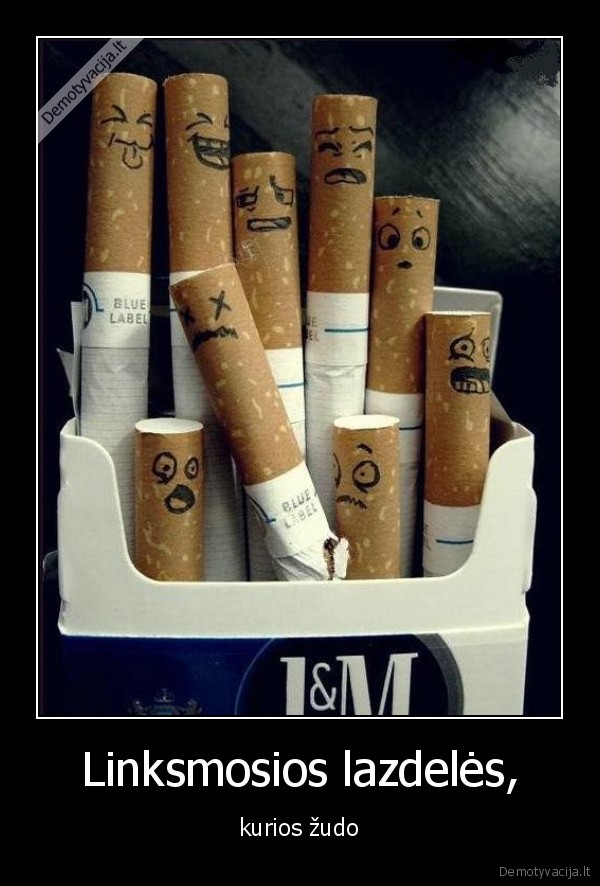 cigaretes,zudo