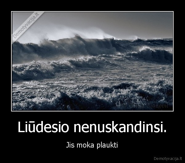 liudesys