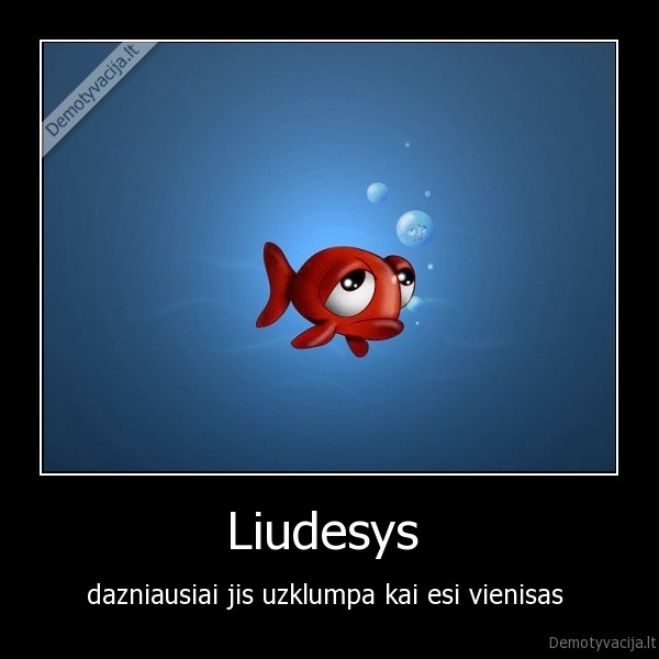 Liudesys 