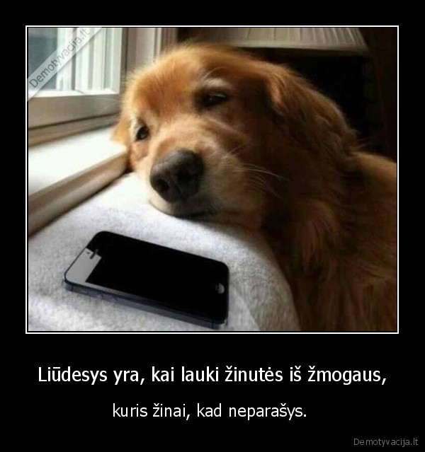 liudesys,zinute,suo,deja