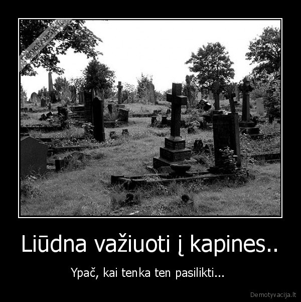 mirtis,sucks
