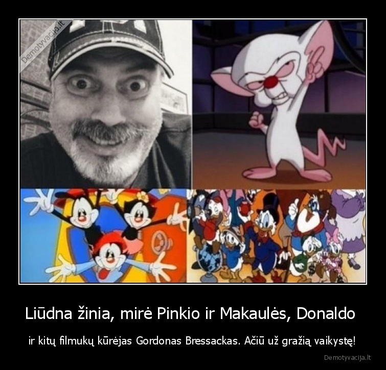 gordon, bressack,pinkis, ir, makaule,donaldas