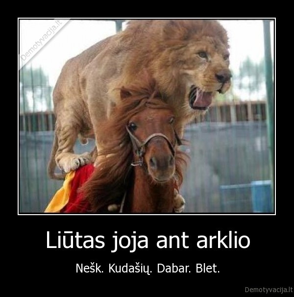 liutas,arklys,kubilius,jukneviciene,nedzinskas,wtf,alus,alus,alus