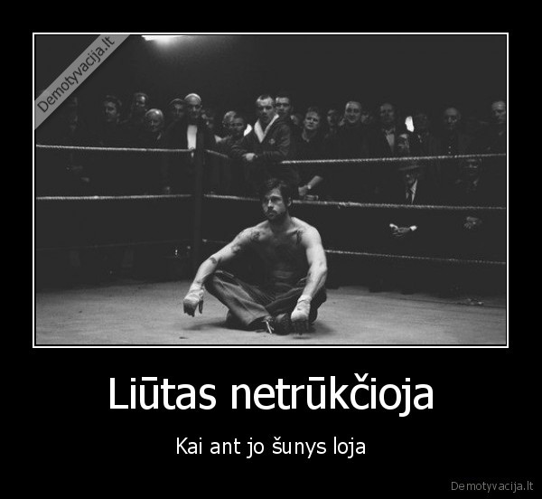 liutas,zmogus,stiprus, vyras,suo,sunys, loja