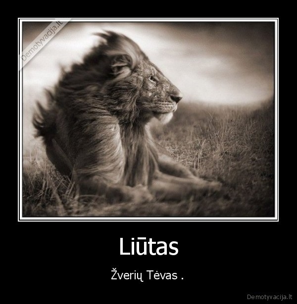 Liūtas