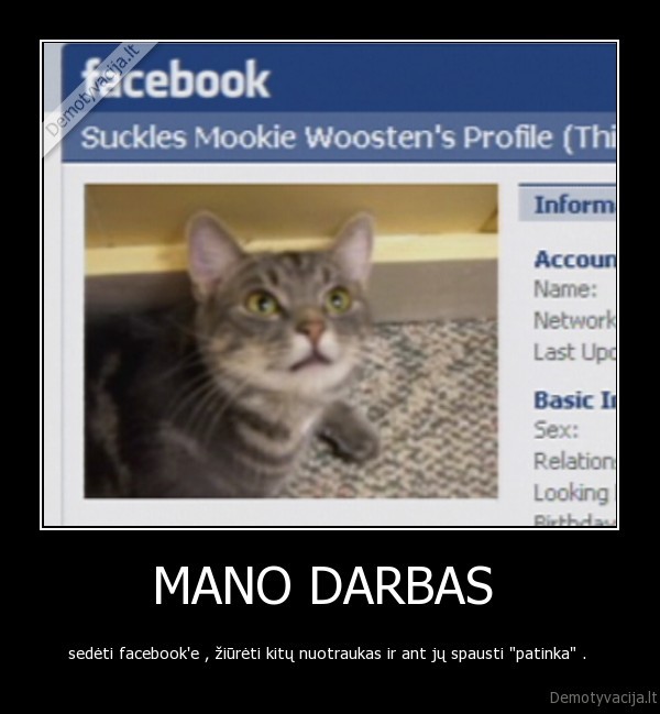 MANO DARBAS 
