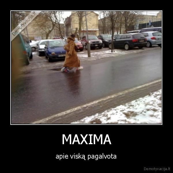 zmogus, su, maisais, is, maximos