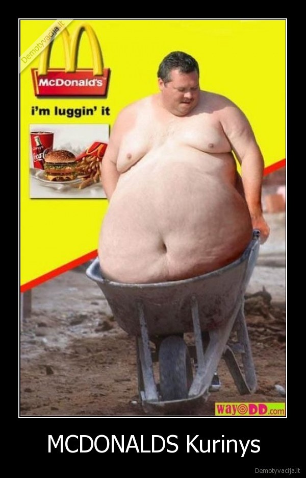 MCDONALDS Kurinys