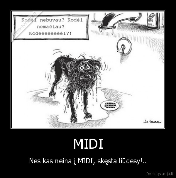 midi,liudesys,pramogos,vu,studentai