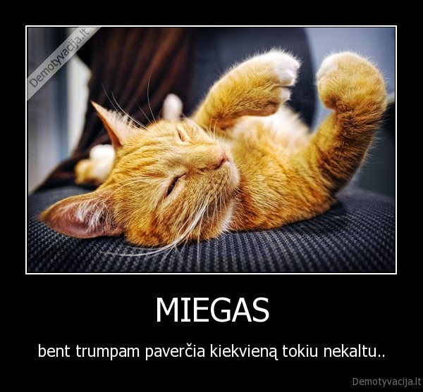 miegas
