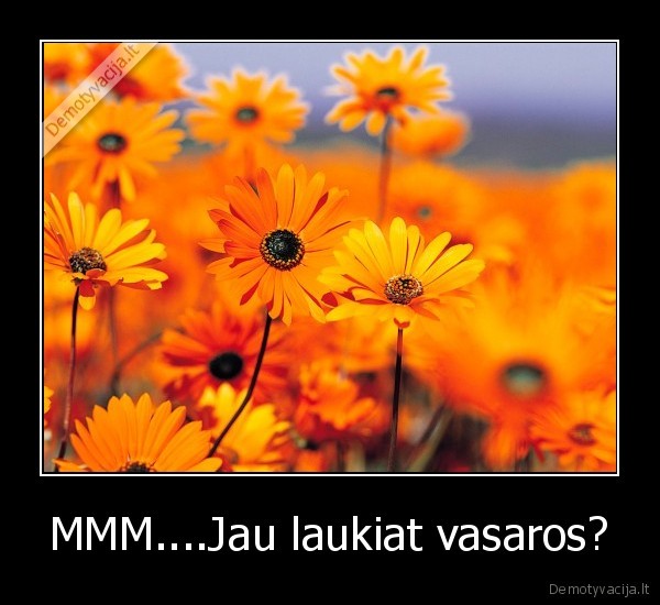 noriu, vasaros,vasara,ziema, nervina