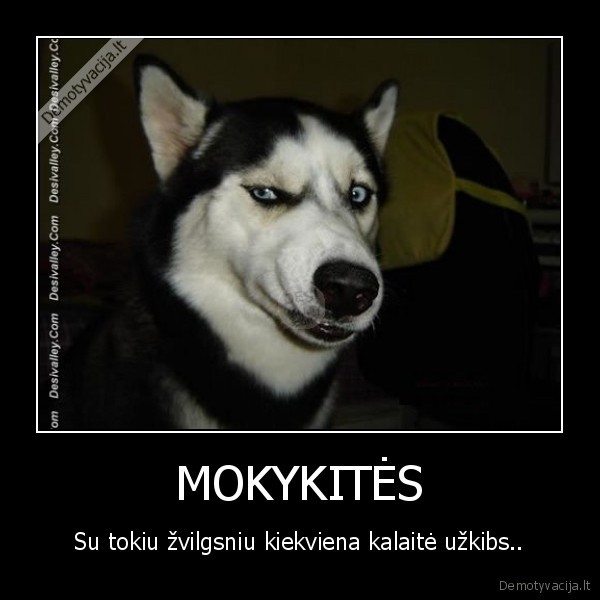 MOKYKITĖS