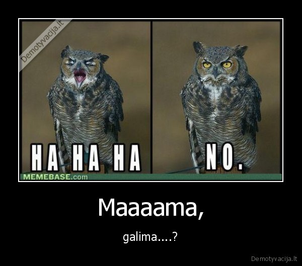 omg, kubilius