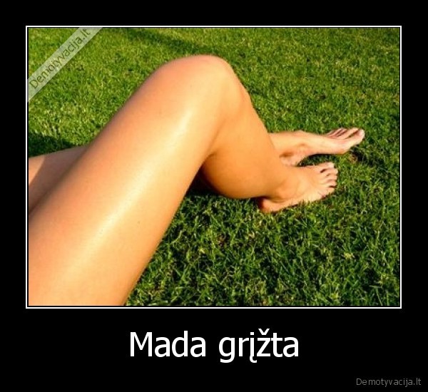 kojas, vasara, reikia, fotkinti