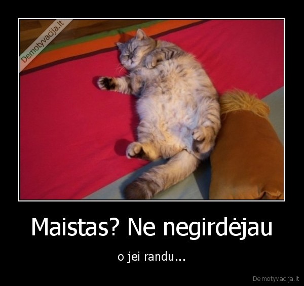 Maistas? Ne negirdėjau