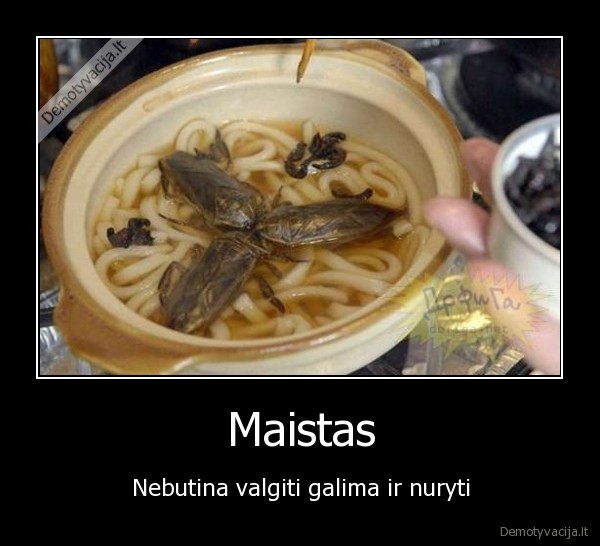 Maistas