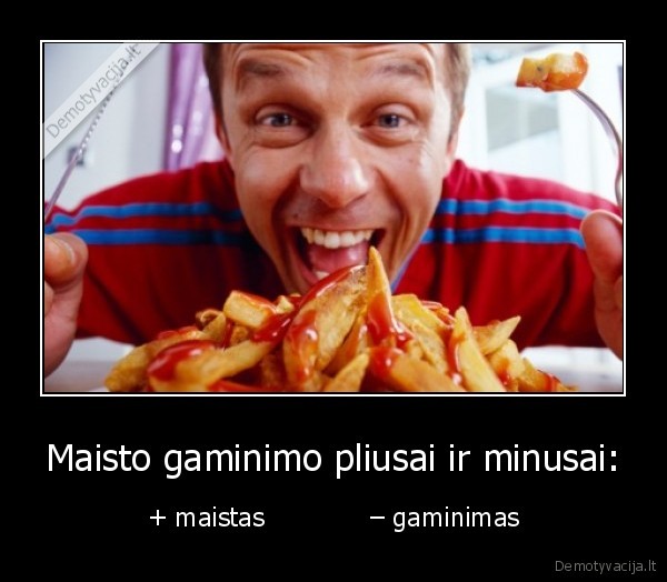 pliusai, ir, minusai,maisto, ruosimas