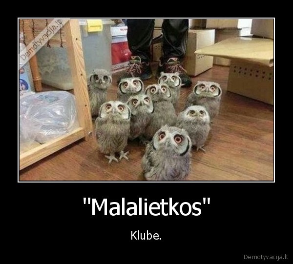 klubas,mazvaikiai