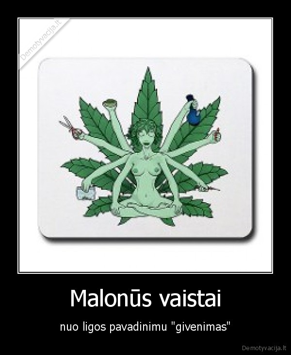 ganja,zole,vaistai,nuo, givenimo,pramoga,liga