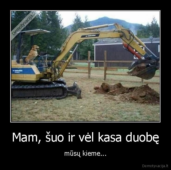 suo,kasti