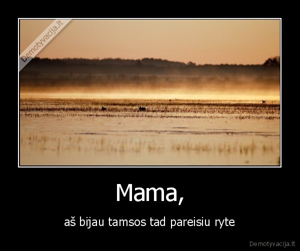 tamsa