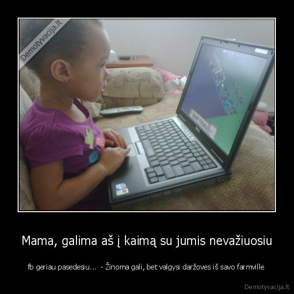 fb, aukos