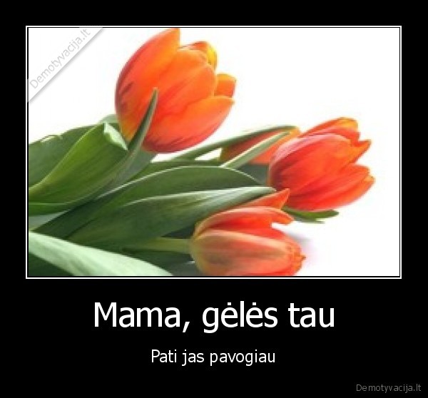 geles,mamai
