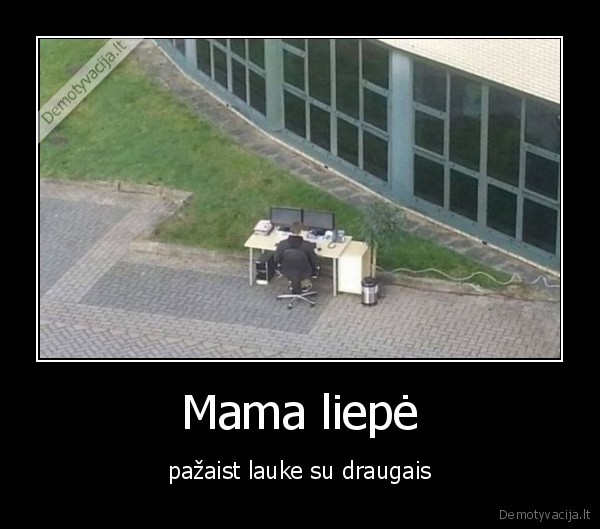 draugai,lauke