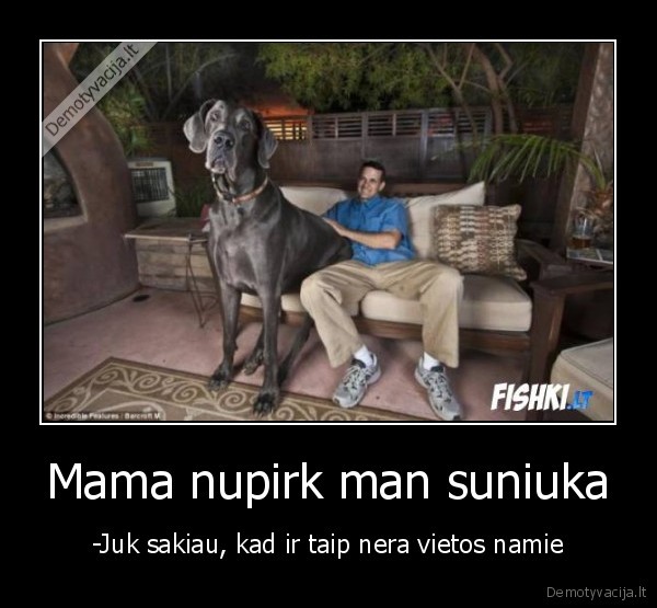 suoa