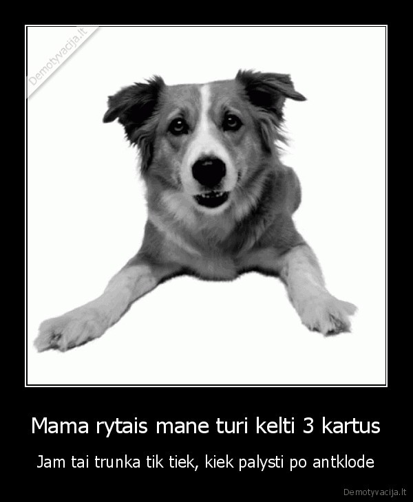 rytas,miegas,suo,mama