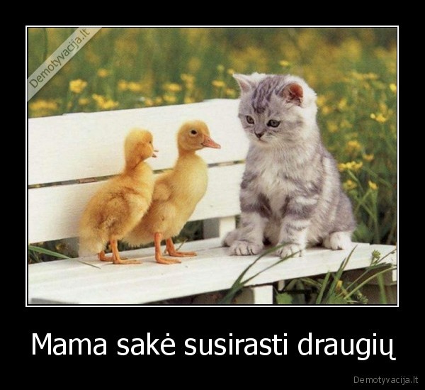 dfhgdf
